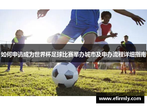 如何申请成为世界杯足球比赛举办城市及申办流程详细指南